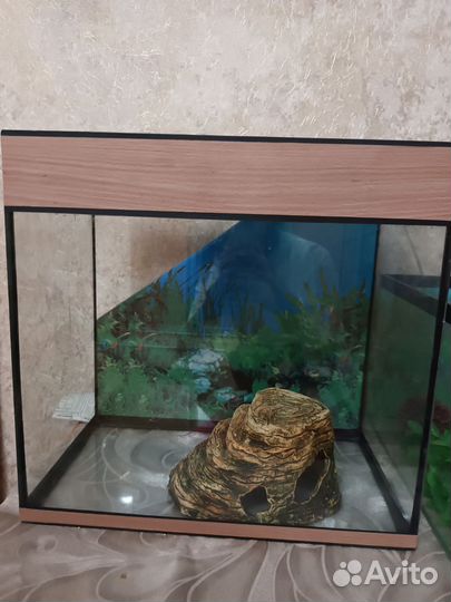 Аквариум