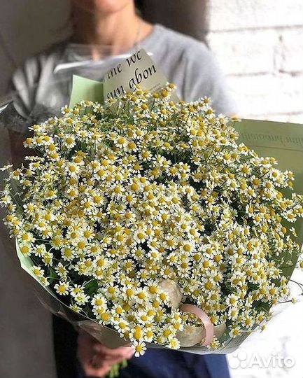 Ромашки Пионы Розы Доставка