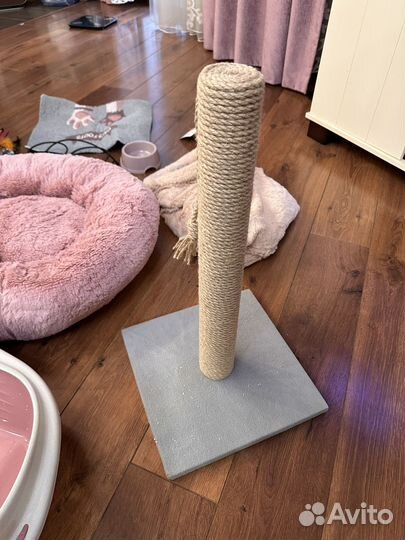 Набор для кошек