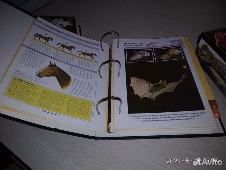 Энциклопедии