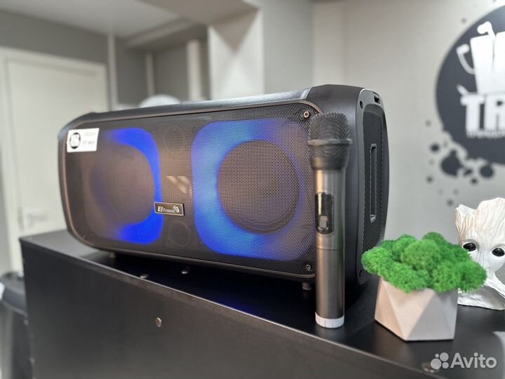 Портативная колонка Eltronic 20-34