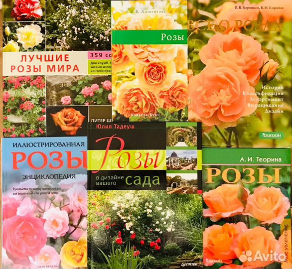 Лучшие книги о розах, сортах и уходе