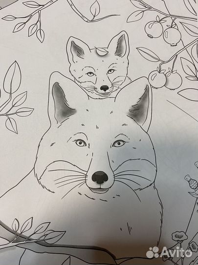 Раскраска антистресс