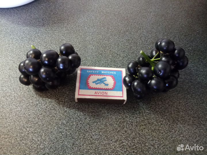 Семена санберри или черники-форте