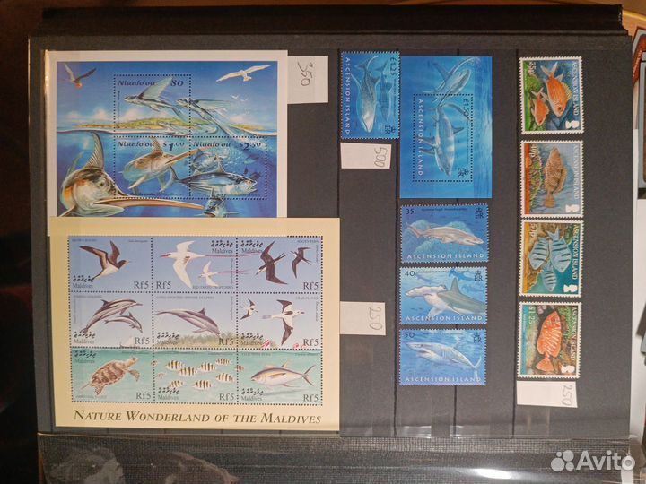 Марки морская фауна ч1