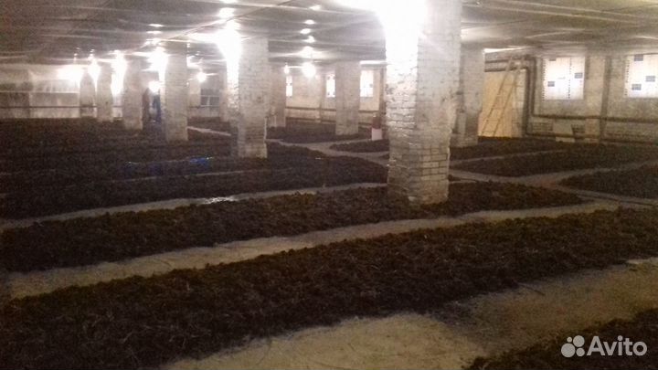 Биогумус Удобрение Органическое