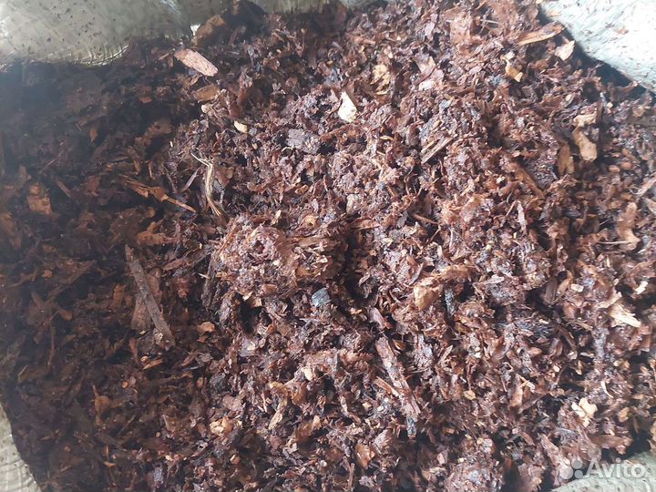 Конский перегной