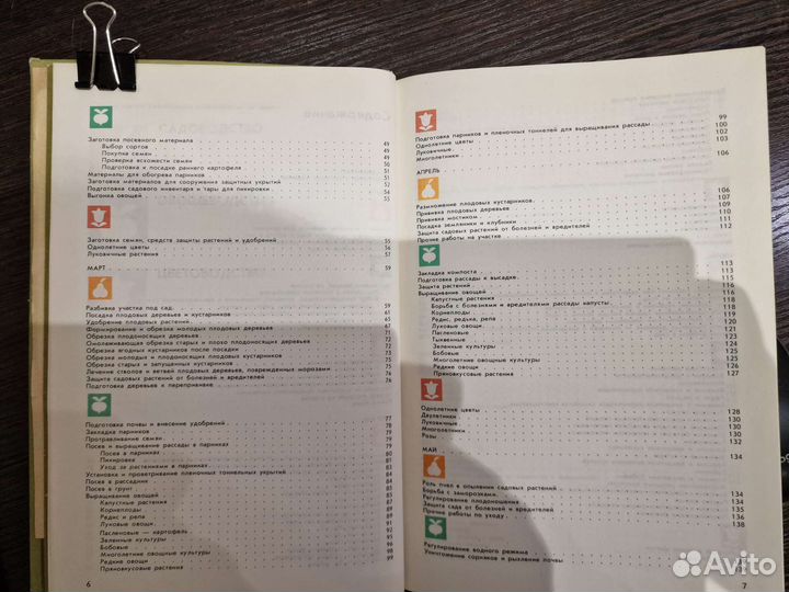 Год на садовом участке