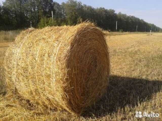 Продам солому в рулонах