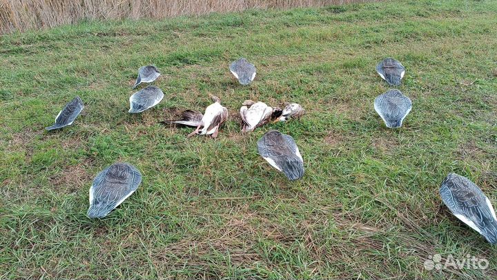 Пакеты, чучела для охоты