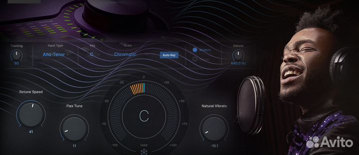 Плагины Universal Audio UAD (место в группе)