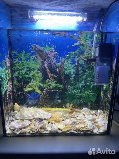 Аквариум со всеми комплектующими