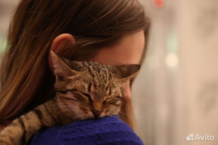 Зоопсихолог