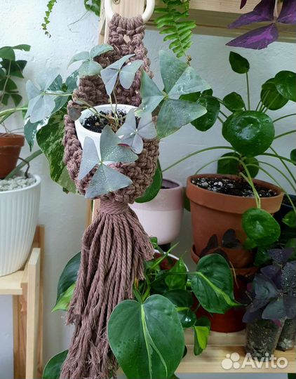 Кашпо подвесное макраме