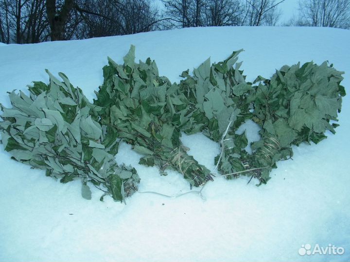 Веники берёза, вишня,липа