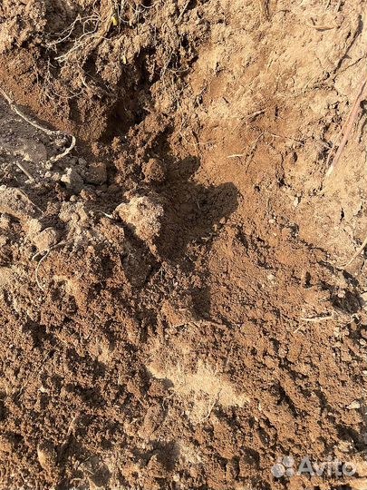 Грунт с доставкой