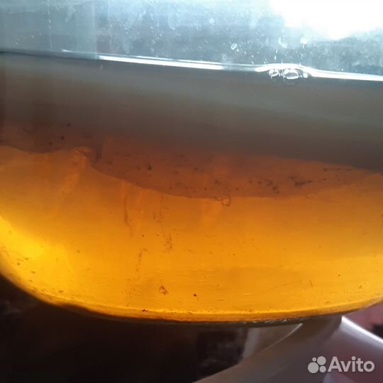 Чайный гриб,в 3-х л.баночке