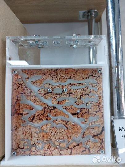 Муравьиная ферма вертикальная