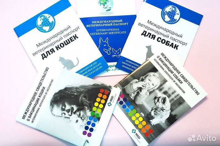 Ветеринарный паспорт