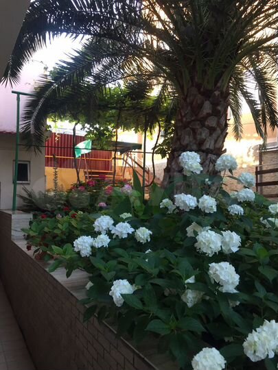 Комната 15 м², 1/3 эт.