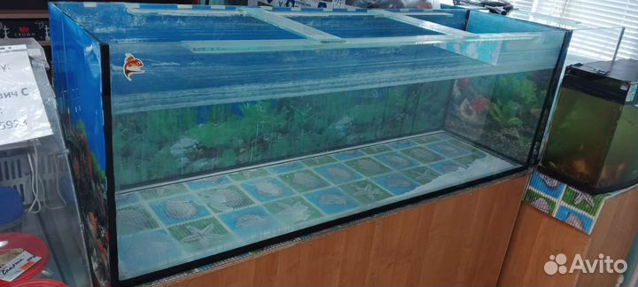 Аквариум