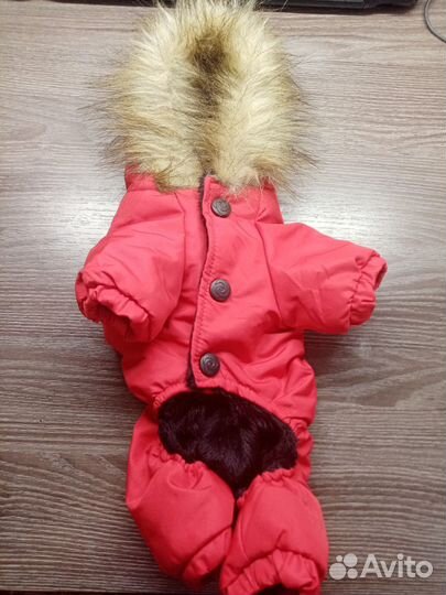 Куртка - комбинезон для маленьких пород собак