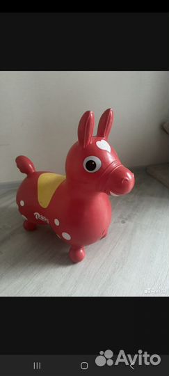 Лошадка прыгун Роди