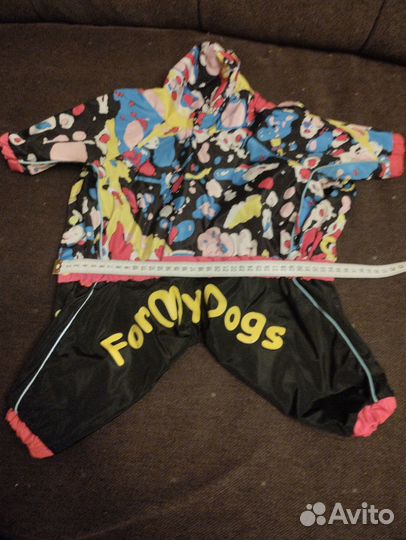 Одежда для собак