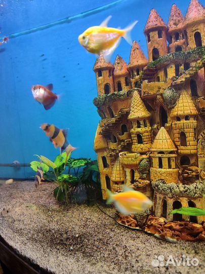 Аквариум с тумбой бу