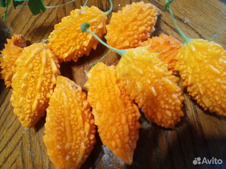 Семена Момордики