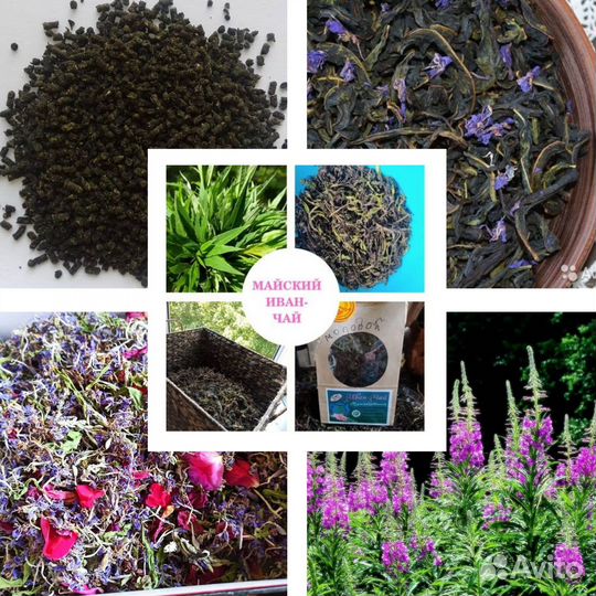 Янтарный иван-чай и целебные травы