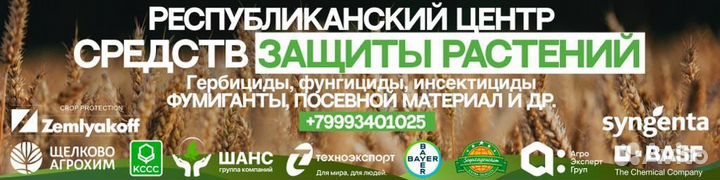 Бинадин, кэ