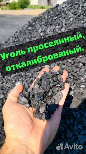 Уголь Бурый Семечка,Орех, Балахтинский