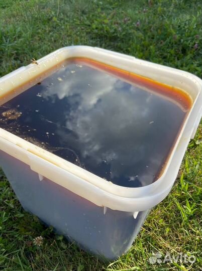 Мед Алтайское разнотравье оптом 2023