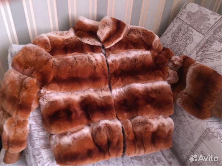 Автоледи шиншилла