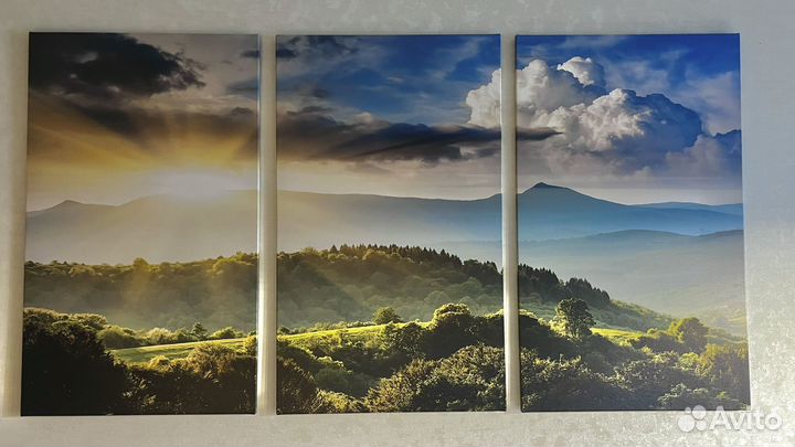 Картина модульная большая