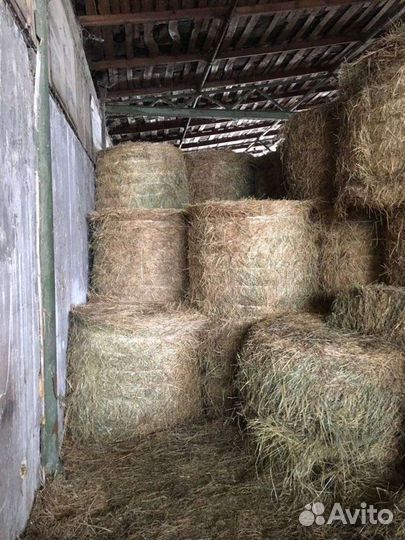Сено в рулонах для животных