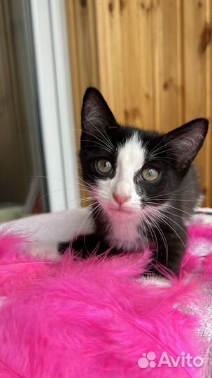 Страшненький мальчик