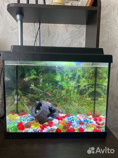 Аквариум