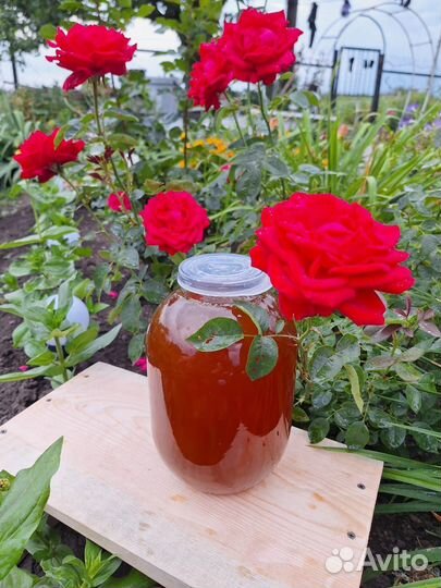 Мед с личной пасеки