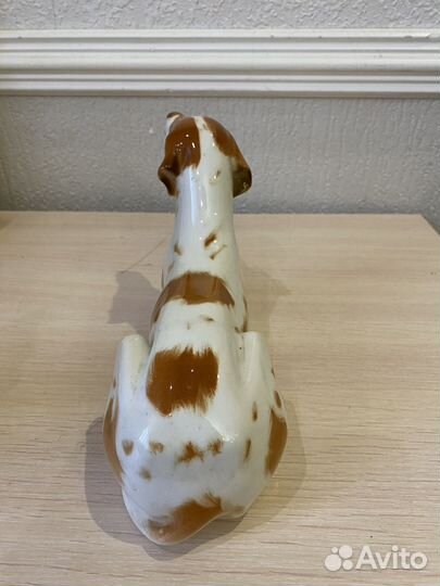 Пойнтер фарфоровая статуэтка СССР