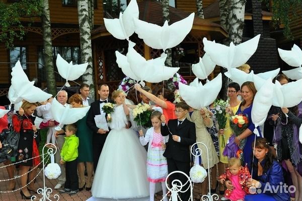 Голуби, биоголуби