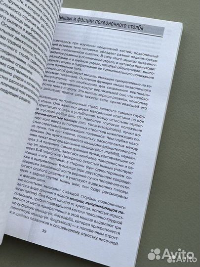 «Анатомия мышц» В.И. Козлов, О.А. Гурова