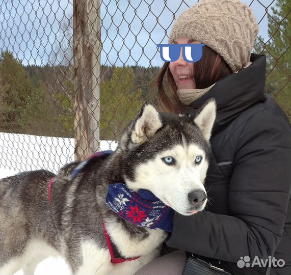 Комплект шапка и шарф