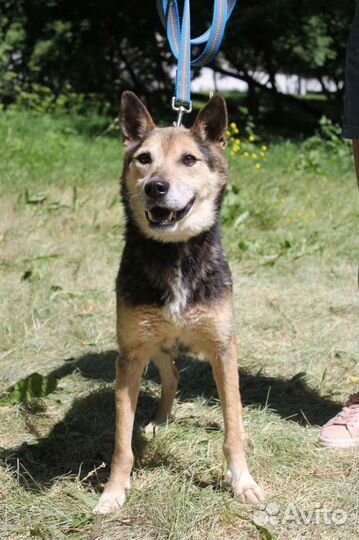 Добряк а никому не нужен а он ждет