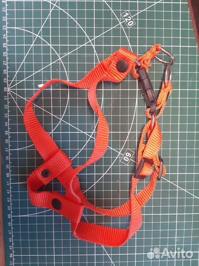 Амуниция для собак