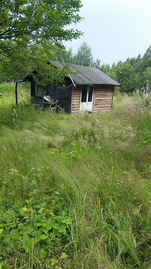 Дача 35 м² на участке 20 сот.