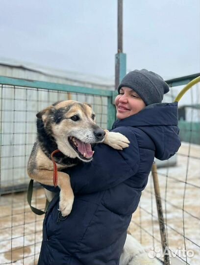 Неунывающий пёс Сэм ждёт своего будущего хозяина