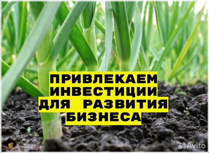 Прибыльный бизнес пассивный доход