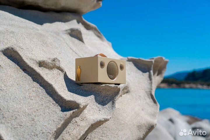 Портативная акустика Audio Pro Addon T3+ Peter Eug